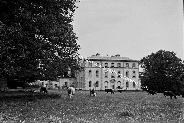 PRESENTATION CONVENT SOUTH FRONT WITH COWS